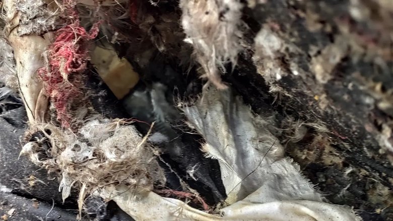 Різня в Бучі: машину прошило кулями, ніби вона паперова, жінці відірвало голову 10