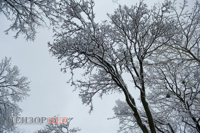Цензор.НЕТ Изображение