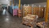 Податкова міліція Києва розкрила масштабну схему із незаконного експорту зернових і горіхів у зоні Одеської митниці. ФОТОрепортаж