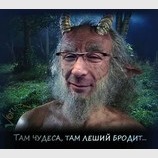 В лесах под Харьковом