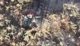 Бійці 92 штурмової бригади ліквідували вісім окупантів
