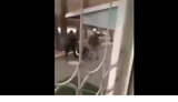 Протестующие в Казахстане прогоняют силовиков. ВИДЕО