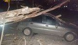 Повалені дерева та обриви ліній електропередач: Рятувальники ліквідовували наслідки негоди у Харкові. ФОТОрепортаж