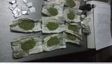 За торговлю наркотиками на Житомирщине задержали военнослужащего. ФОТО