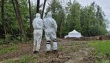 Ексгумація жертв Волинської трагедії на Тернопільщині