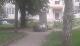 Вандалы повалили памятник Пушкину на Львовщине. ФОТО