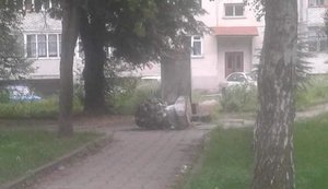 Вандали повалили пам'ятник Пушкіну на Львівщині. ФОТО