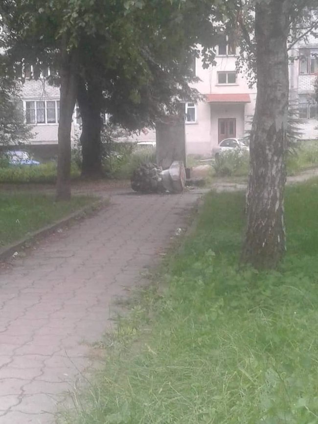 Вандалы повалили памятник Пушкину на Львовщине 01