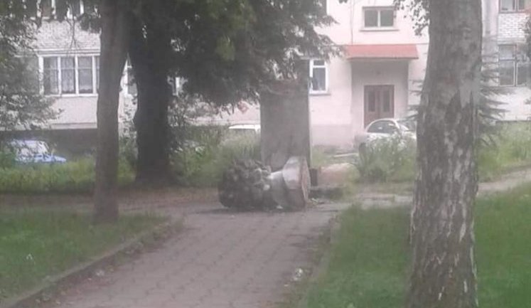 Вандали повалили пам'ятник Пушкіну на Львівщині. ФОТО