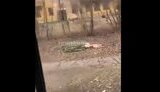 труп,макіївка