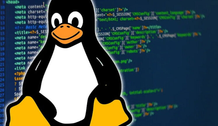 11 российских программистов отстранили от работы над ядром Linux
