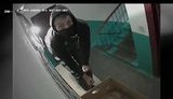 Камера в Рівному зняла, як її крадуть. ВIДЕО