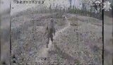 війна