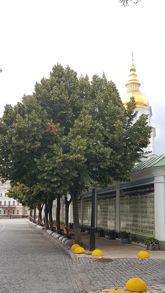 Это очень крутой замысел, и он нужен именно нам с вами: волонтер Маруся Зверобой просит поддержать проект Стена Памяти 01 Это очень крутой замысел, и он нужен именно нам с вами: волонтер Маруся Зверобой просит поддержать проект Стена Памяти 01