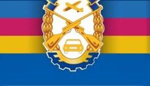 Между "Обществом содействия обороне" и Минмолодежи: почему технические виды спорта сегодня на грани выживания?