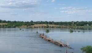 інгулець