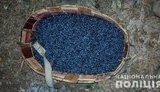 Из Зоны отчуждения пытались вывезти 300 кг радиоактивных ягод, - Нацполиция. ФОТО