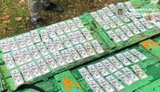 хабар за ухилення від служби