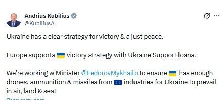 Кубілюс про підтримку України