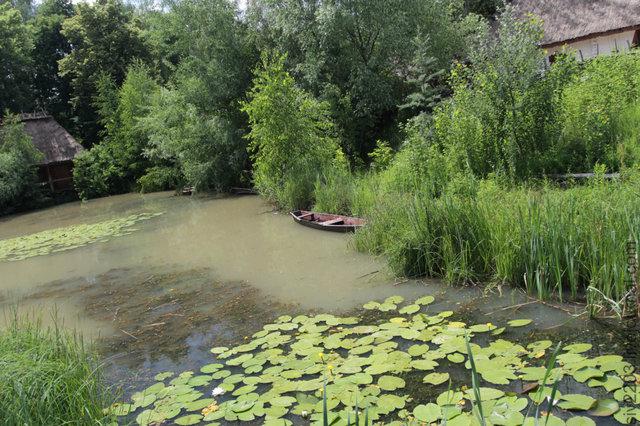 Цензор.НЕТ Изображение