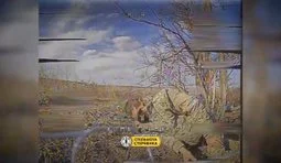 Украинские защитники ликвидировали точными ударами оккупантов на Покровском направлении