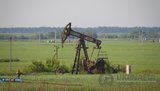 укрнафта,нефть