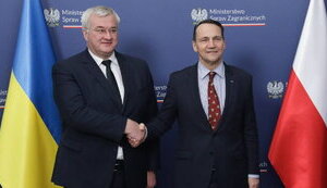 Radoslav Sikorski and Andrii Sybiha