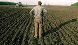 Кабмин начал передачу общинам земель за пределами населенных пунктов