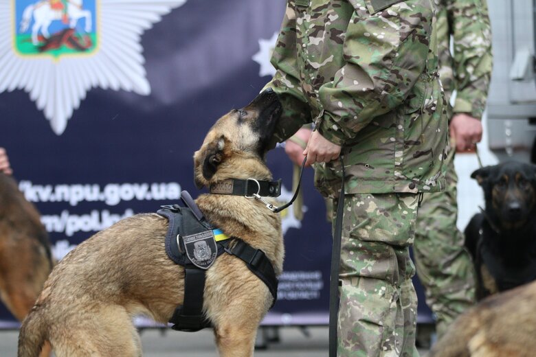 Нідерланди передали Україні 11 собак-саперів 04