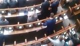 яценко кнопкодав
