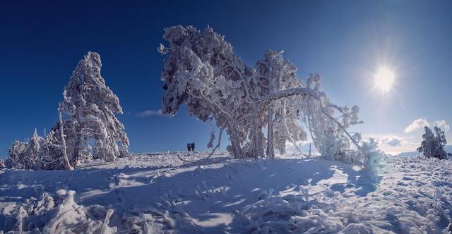 Цензор.НЕТ Изображение