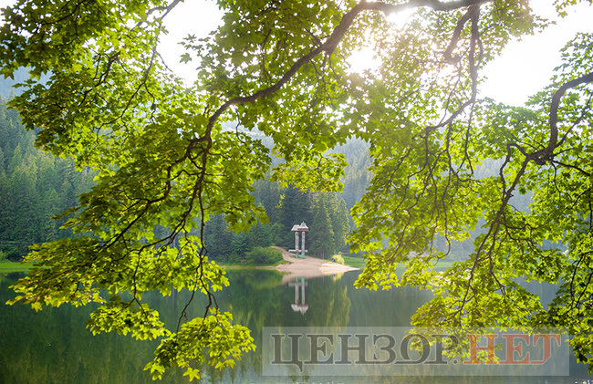 Смарагдові смереки, загадкові води, величезні гриби і врятовані ведмеді: літо на Синевирі 07