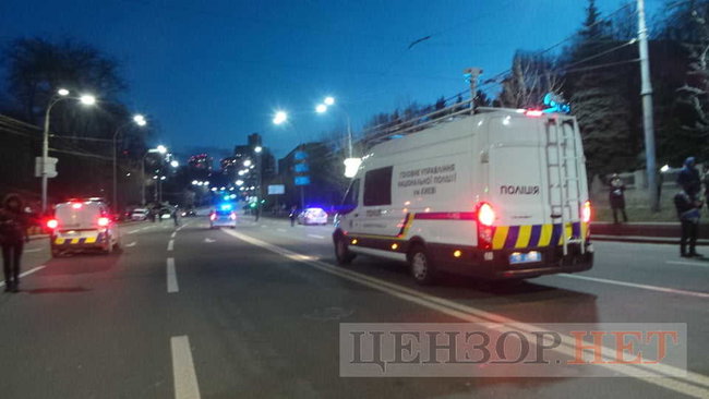 Марш украинских добровольцев проходит в Киеве 10