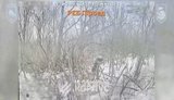 Бійці 60 бригади уразили РЕБ, техніку та живу силу ворога у смузі своєї відповідальності.