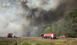 Пожежа у Бучанському районі