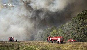 Масштабна пожежа охопила ліс у Бучанському районі на Київщині: вогонь вдалося локалізувати. ВІДЕО+ФОТОрепортаж