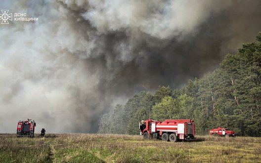 Масштабна пожежа охопила ліс у Бучанському районі на Київщині: вогонь вдалося локалізувати. ВІДЕО+ФОТОрепортаж