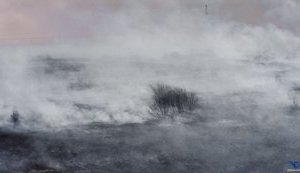 В Чернобыльской зоне происходит тление травяного настила в 4 лесничествах, - ГСЧС