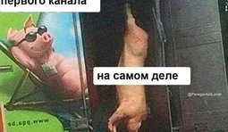 Міф та реальність