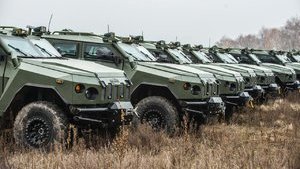 Мы готовы под госгарантии обеспечить броней и оружием целую бригаду Десантно-штурмовых войск, - Сенченко