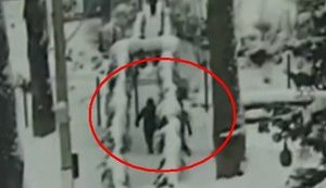 На Закарпатті троє підлітків зруйнували підвісний міст. ВIДЕО камер спостереження