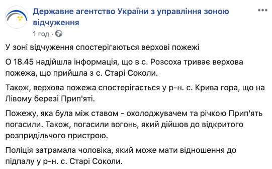 Спостерігаються верхові пожежі, - держагентство з управління зоною відчуження про ситуацію в Чорнобилі 02