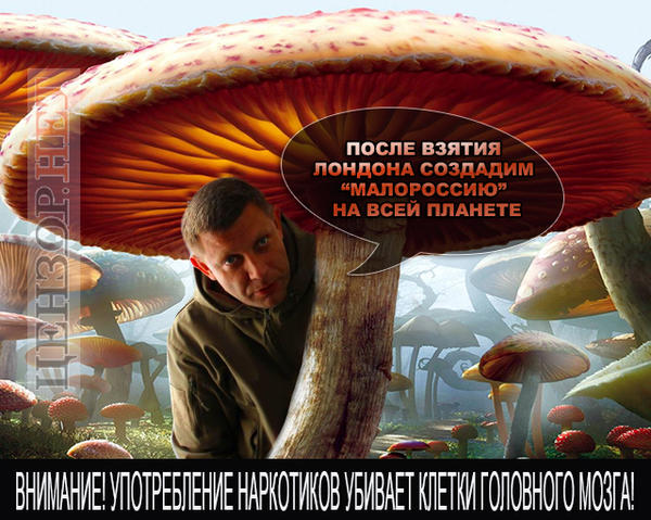 Цар усієї Малоросії. Зародження нової держави Захарченка у ФОТОжабах 02