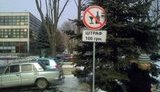 Знак "Не бухать - штраф 100грн" появился на окружной дороге Киева. ФОТО