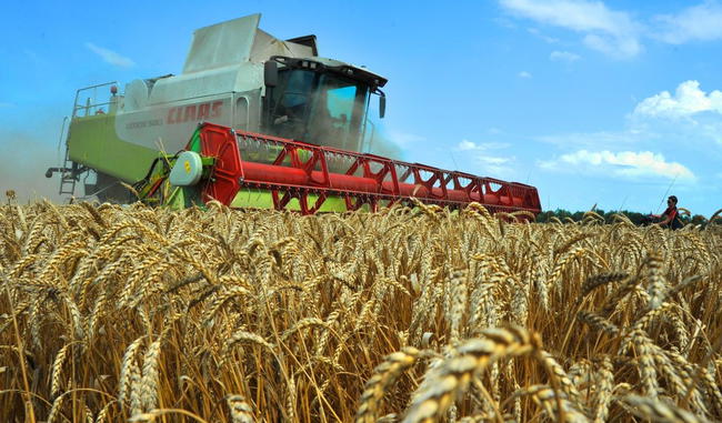 Скільки дотацій отримали аграрії 01