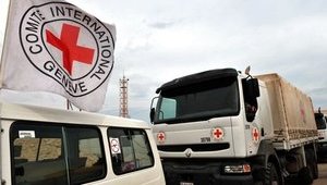 Red Cross sends 137 tonnes of humanitarian aid to occupied Donbas