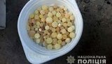 Полицейские пришли с обыском из-за оружия и изъяли 37 килограммов янтаря-сырца на Ривненщине. ФОТОрепортаж