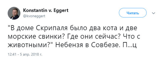 Домашние животные Скрипаля, судьбой которых интересовалась Россия, не выжили 01