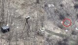 рлс,репейник