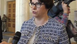 Ситуація з введенням податку на виведений капітал замість податку на прибуток зайшла в глухий кут, - Южаніна. ВIДЕО